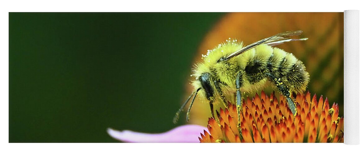 Bee Yoga Mat featuring the photograph Bee on coneflower by Ronda Ryan