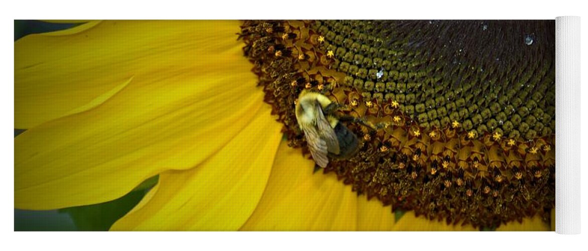 Orange Yoga Mat featuring the photograph Bee on Sunflower 9 by James Cousineau