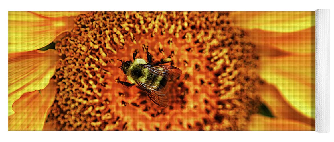 Photography Yoga Mat featuring the photograph Bee on Sunflower by Karen Cox