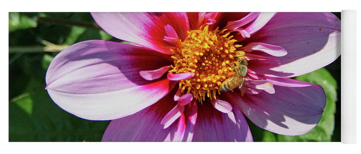 Bee Visits Flower By Norma Appleton Yoga Mat featuring the photograph Bee Visits Flower by Norma Appleton