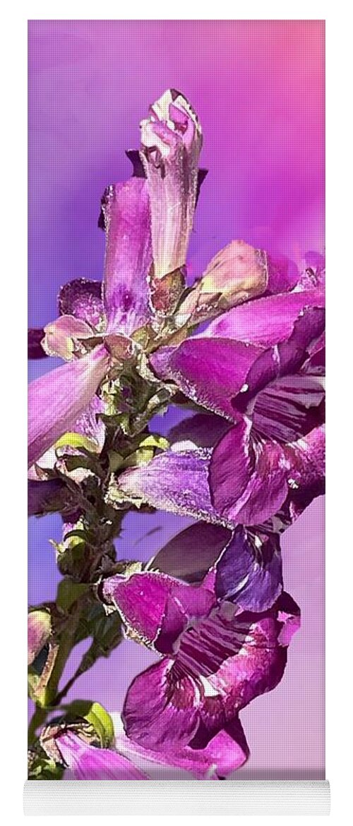 Flowers Bell Purple Pink Background Black Grey Plant Green Leaves Yoga Mat featuring the digital art Bell Flowers Purple and Pink by Kathleen Boyles