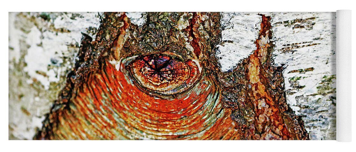 Abstract Yoga Mat featuring the photograph Belly Button Birch by Debbie Oppermann