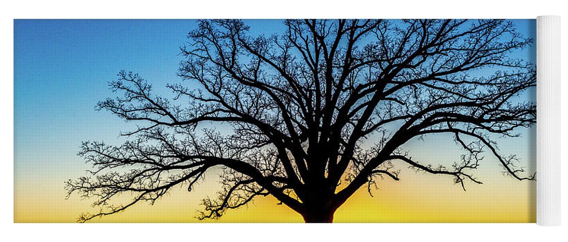 Big Oak Tree Yoga Mat featuring the photograph Big Oak Tree at Sunset by Harold Rau