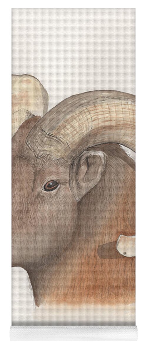 Bighorn Sheep Yoga Mat featuring the painting Bighorn Sheep by Bob Labno