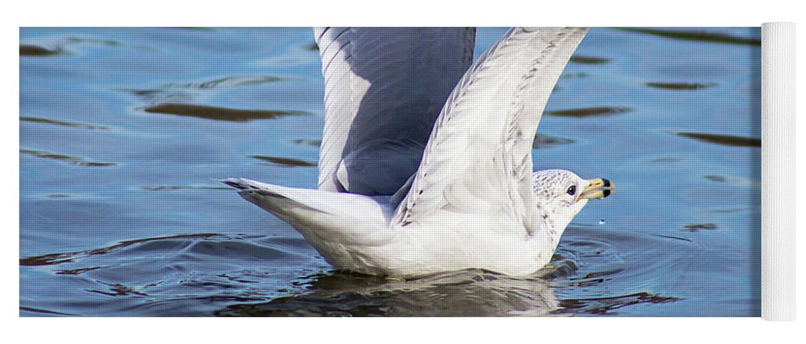 Winter Yoga Mat featuring the photograph Bird Enjoying a Winter Lake by Auden Johnson