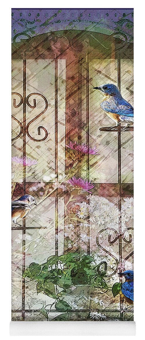 Photography Yoga Mat featuring the photograph Birds in the Kitchen by Shara Abel