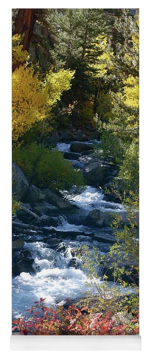 Bishop Creek Yoga Mat featuring the photograph Fall Color and Sun Rays on Bishop Creek by Bonnie Colgan