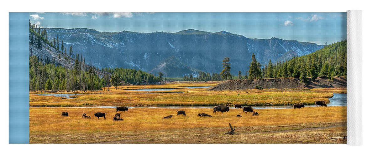 Yellowstone Yoga Mat featuring the photograph Bison Roaming Madison River in Yellowstone by Kenneth Everett