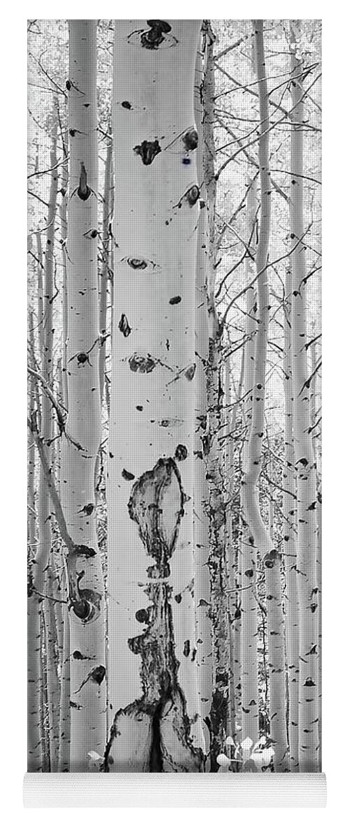Black And White Yoga Mat featuring the photograph Black and White Aspen Grove by Rebecca Herranen