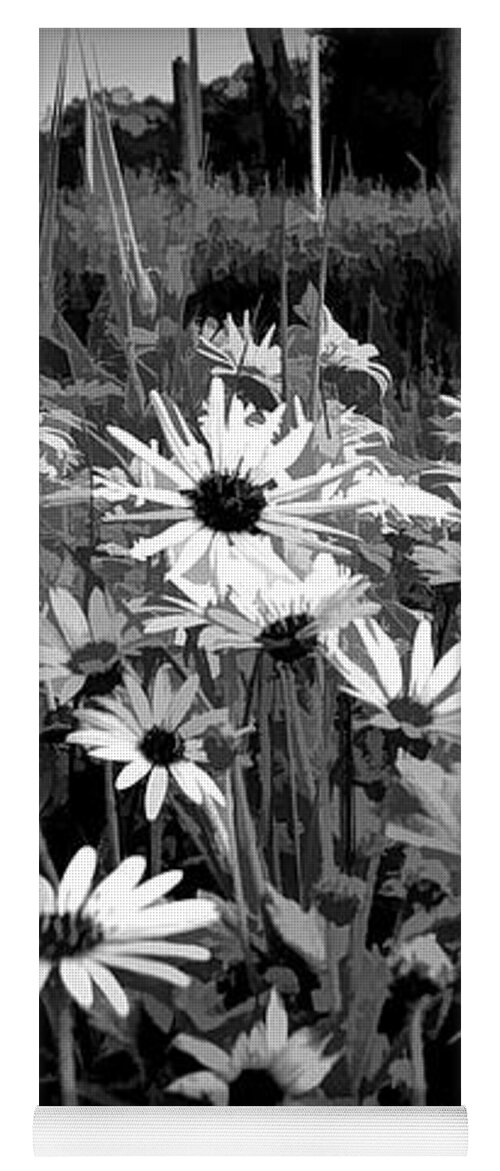 Black And White Yoga Mat featuring the mixed media Black And White Carpet Of Wild Field Daisies by Joan Stratton