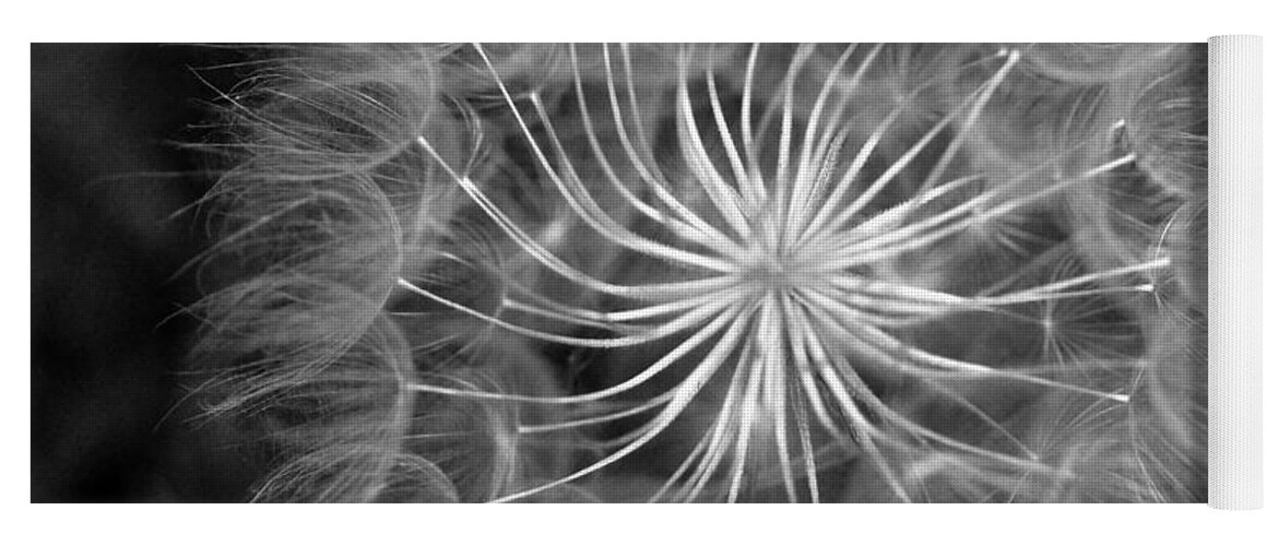 Nature Yoga Mat featuring the photograph Black and White Dandelion 2 by Amy Fose