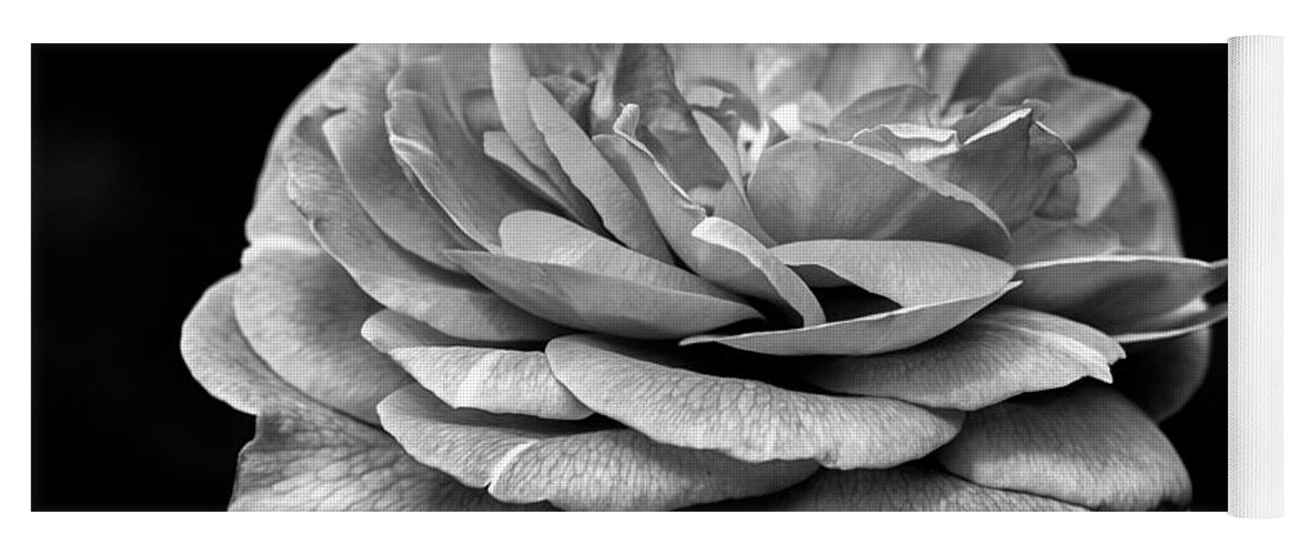 Black And White Yoga Mat featuring the photograph Black and White Rose by Carrie Hannigan