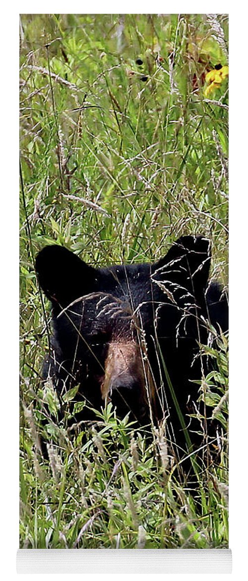 Tennessee Yoga Mat featuring the photograph Black Bear In The Cove by Jennifer Robin