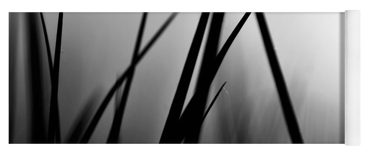 Black And White Yoga Mat featuring the photograph Black is the Blade Grass by Debra Banks