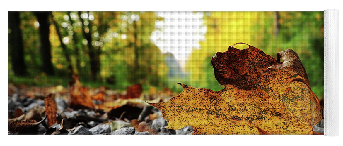 Acer Yoga Mat featuring the photograph Black spotted yellow marple leaf on gravel road which surrounded forest, which playing many colors. Pinch of autumn in semptember by Vaclav Sonnek