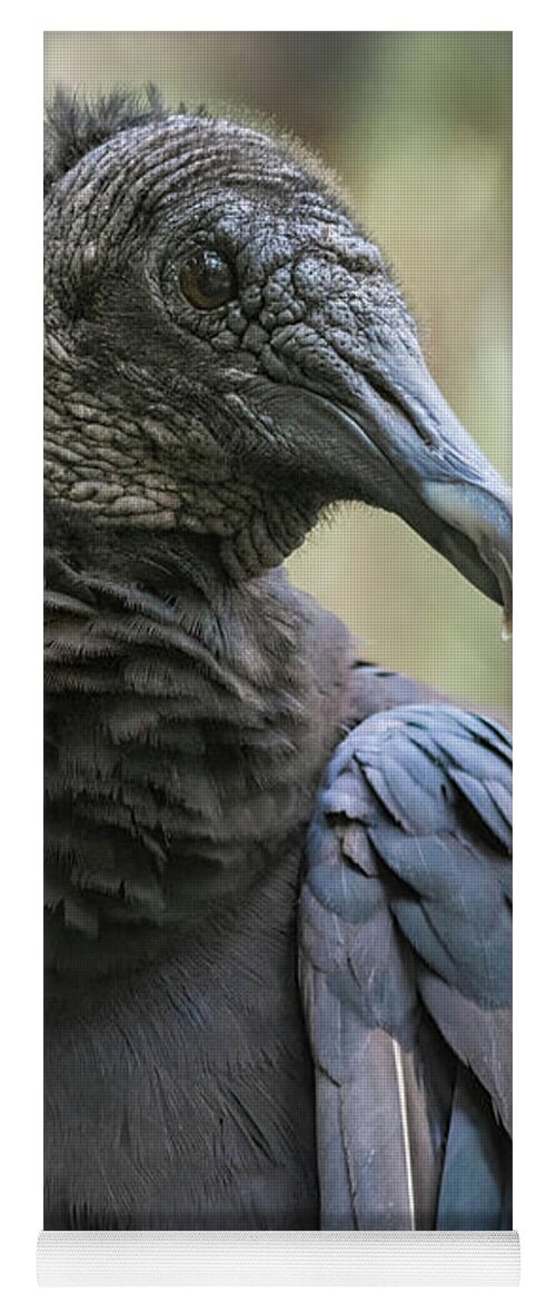 Black Vulture Yoga Mat featuring the photograph Black Vulture a Bird of Carrion by Rebecca Herranen