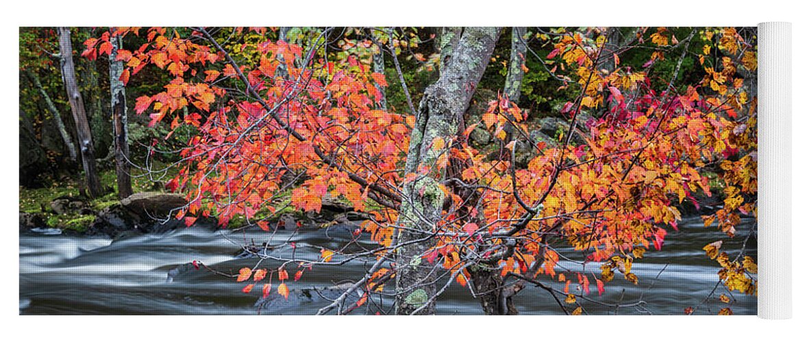 Blackstone River Yoga Mat featuring the photograph Blackstone River LVI Color by David Gordon