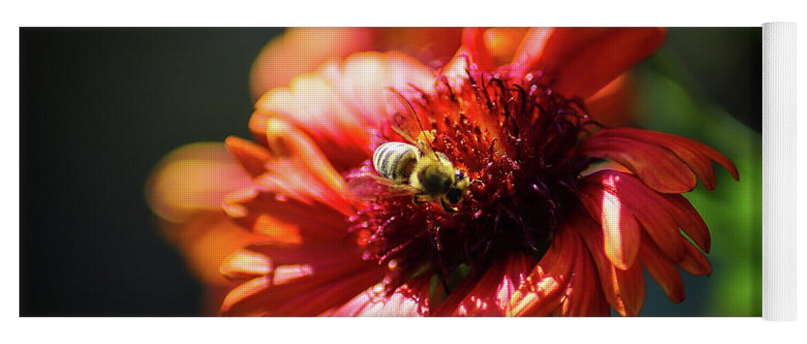 Flowers Yoga Mat featuring the photograph Blanket Flower Bee by Marcus Jones