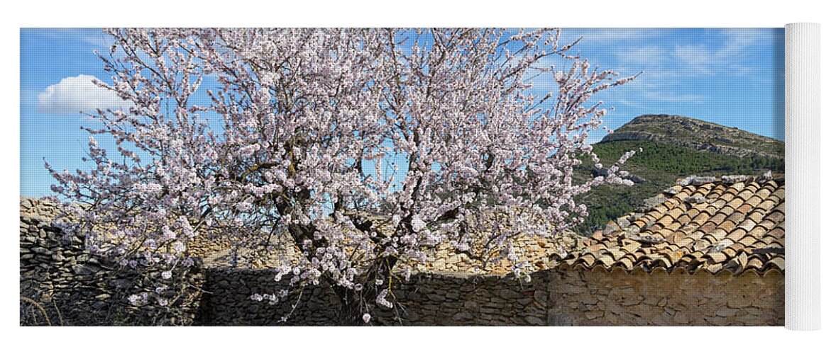 Almond Tree Yoga Mat featuring the photograph Blooming almond tree and traditional farmhouse by Adriana Mueller