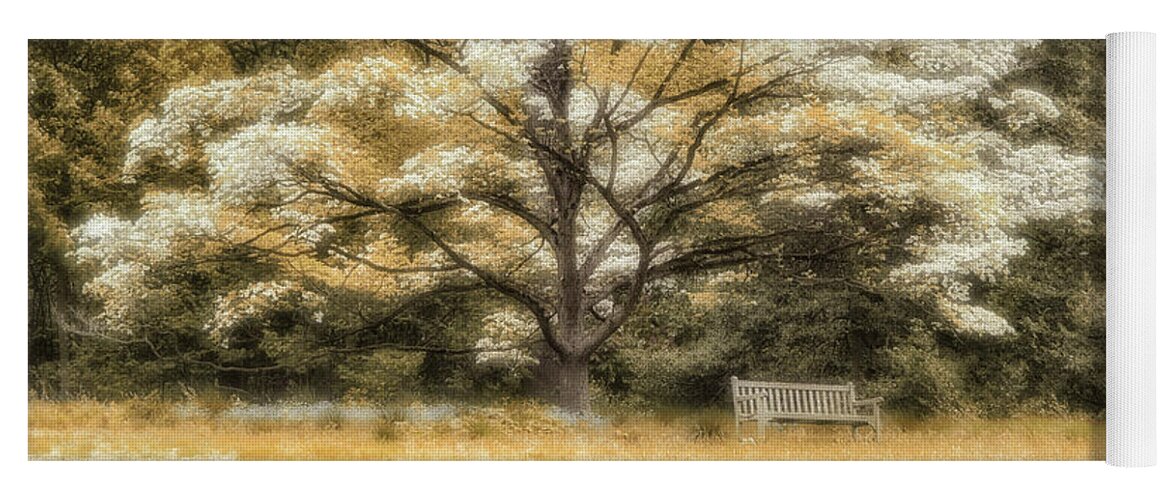 Blooming Tree Yoga Mat featuring the photograph Blooming Tree and Bench by Louise Tanguay