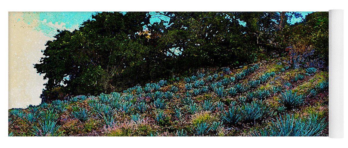 Agaves Yoga Mat featuring the digital art Blue Agaves by Marisol VB