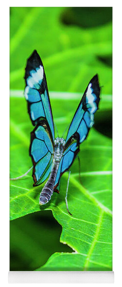 Butterflies Yoga Mat featuring the photograph Blue Butterfly by David Beechum