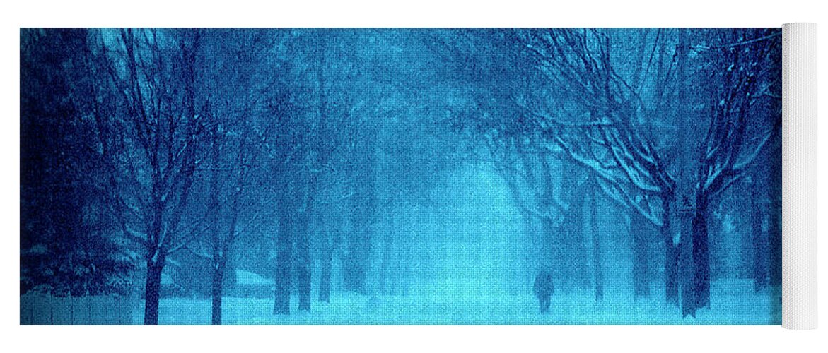 United States Yoga Mat featuring the photograph Blue Chicago Blizzard by Frank J Casella