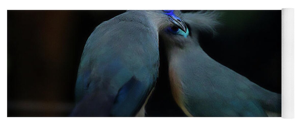 Birds Yoga Mat featuring the photograph Blue Coua Pair by Rene Vasquez