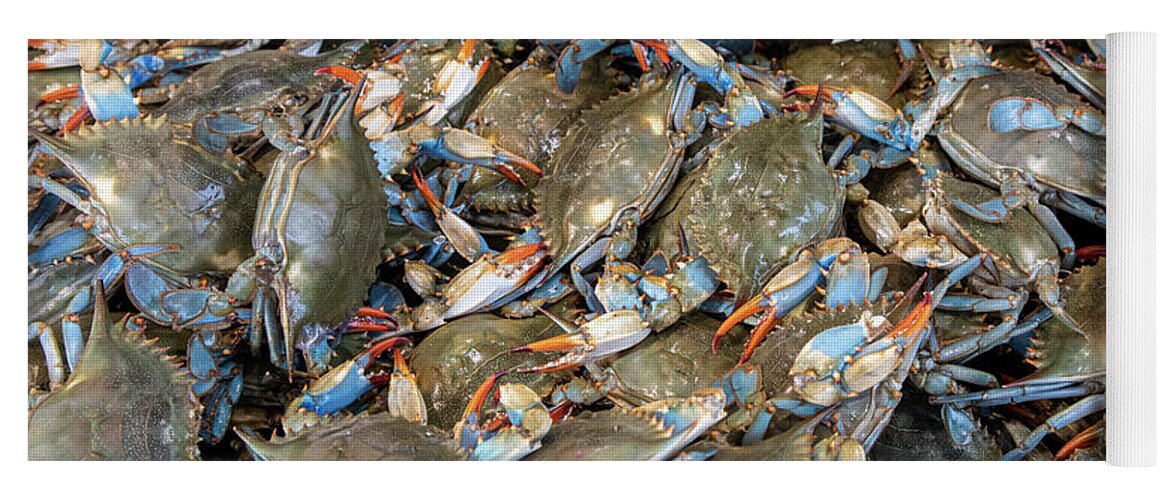 Fish Yoga Mat featuring the photograph Blue Crabs by Jim West