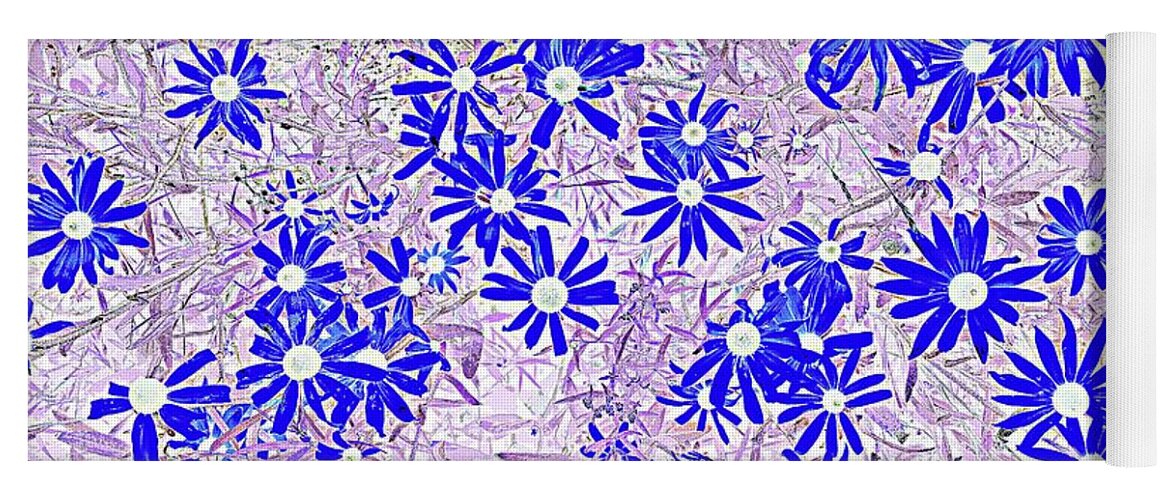 Plant Yoga Mat featuring the photograph Blue Daisies Art by Missy Joy