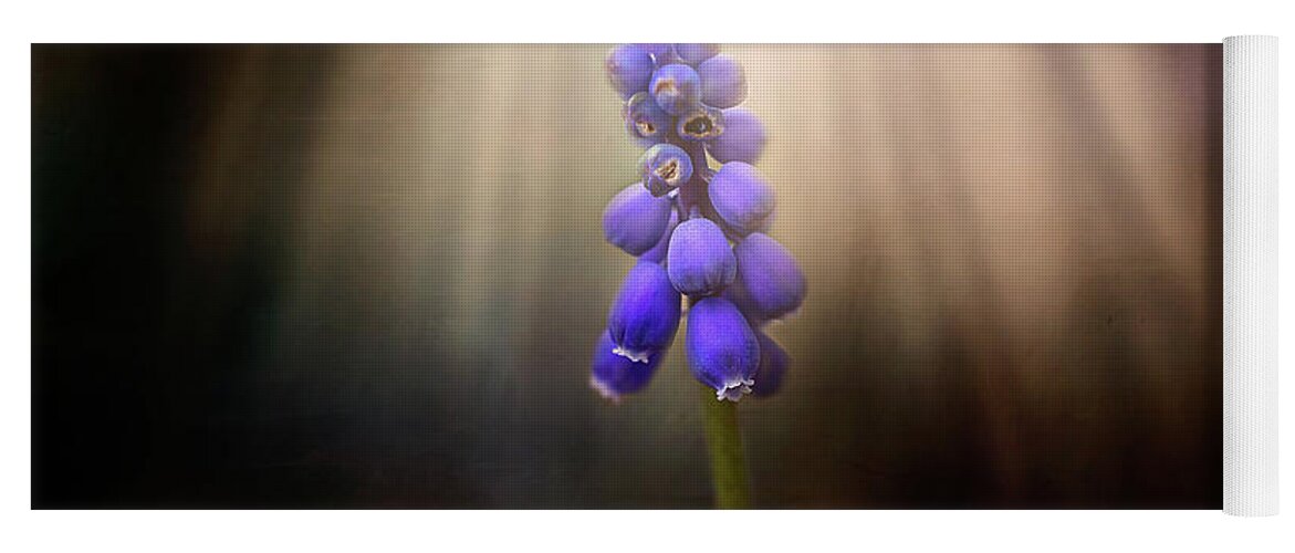 Blue Grape Hyacinth Print Yoga Mat featuring the photograph Blue Grape Hyacinth Print by Gwen Gibson