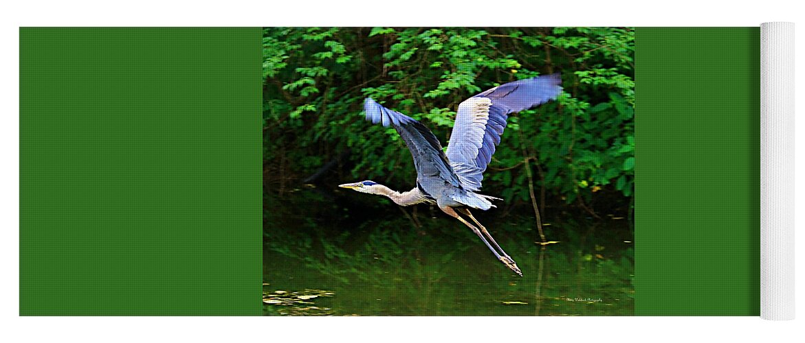 Blue Heron Yoga Mat featuring the photograph Blue Heron in Flight by Mary Walchuck