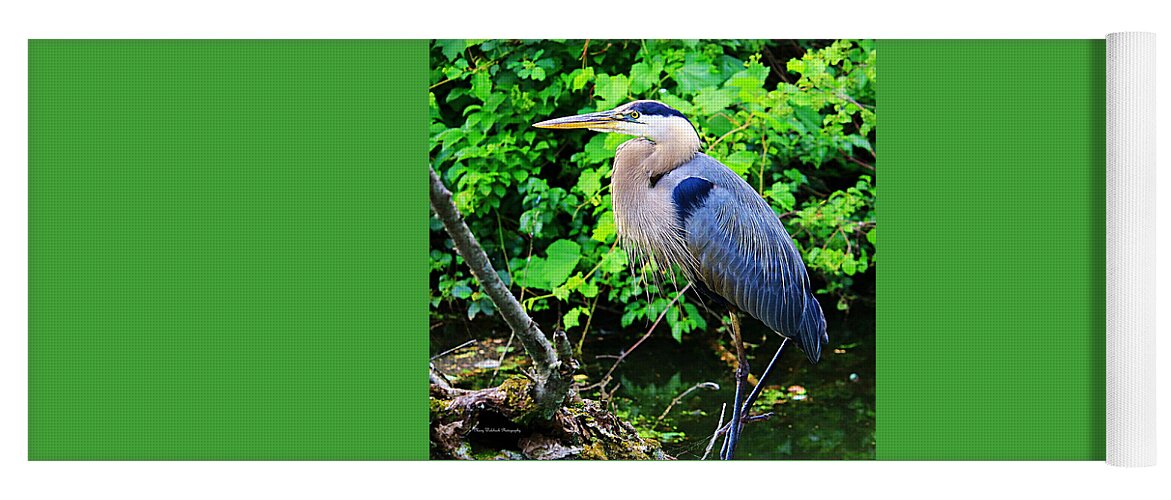 Blue Heron Yoga Mat featuring the photograph Blue Heron Portrait by Mary Walchuck