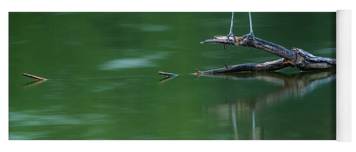 Blue Heron Reflection Yoga Mat featuring the photograph Blue Heron Reflection by Dan Sproul