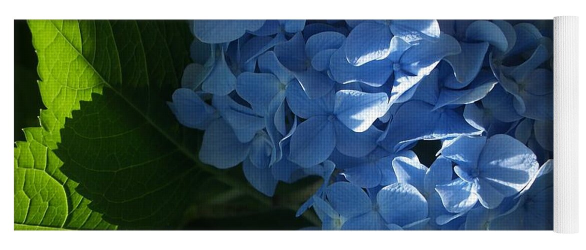 Flower Yoga Mat featuring the photograph Blue Hydrangea in Sunlight and Shadow by Anna Lisa Yoder