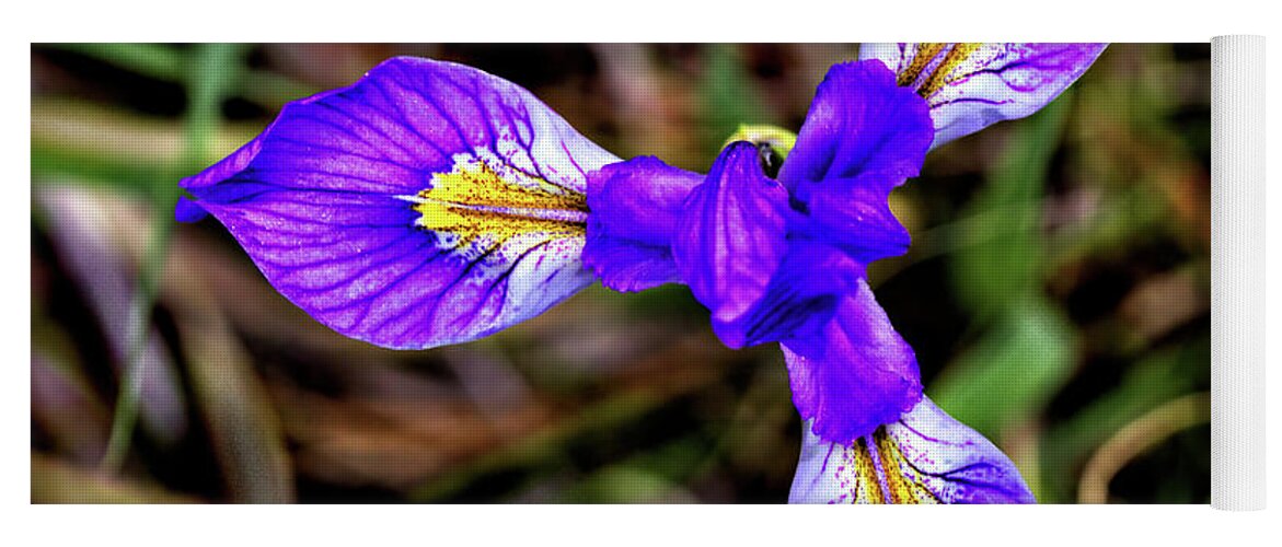Flower Yoga Mat featuring the photograph Blue Iris by Bob Falcone