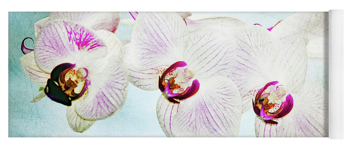 Orchid; Orchids; Purple Orchid; Purple Orchids; Flower; Purple; Purple Flower; Photography; Digital Art; Flowers; Floral; Flora; Digital Art; Photography; Blue; Green; Simple; Decorative; Décor; Macro; Close-up Yoga Mat featuring the photograph Blue Orchid Arch by Tina Uihlein