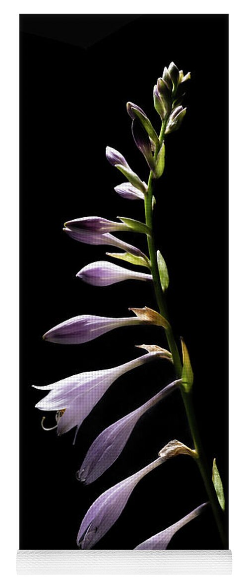 Blue Plantain Lily Yoga Mat featuring the photograph Blue Plantain Lily 2 by Kevin Suttlehan