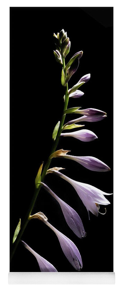 Blue Plantain Lily Yoga Mat featuring the photograph Blue Plantain Lily by Kevin Suttlehan