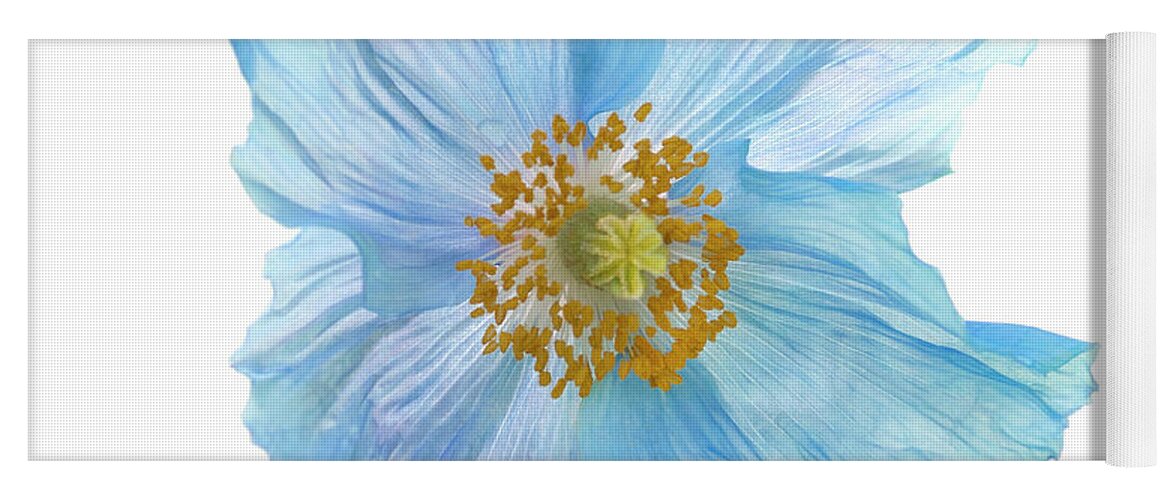 Himalayan Blue Poppies Yoga Mat featuring the photograph Blue Poppy by Louise Tanguay