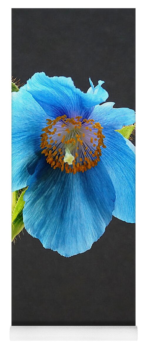 Richard Reeve Yoga Mat featuring the photograph Blue Poppy by Richard Reeve