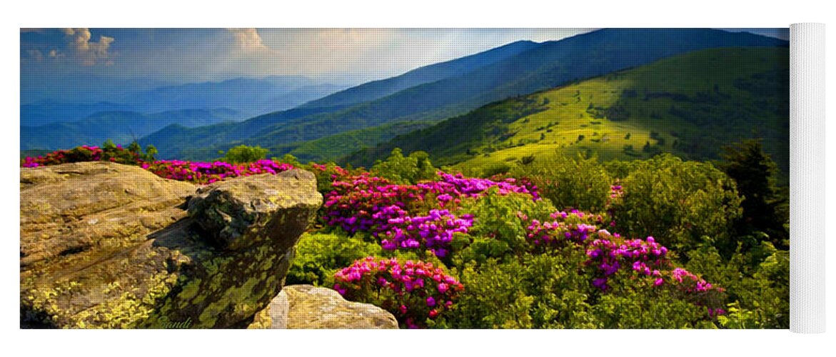 Blue Ridge Parkway Yoga Mat featuring the mixed media Blue Ridge Parkway Catawba Rhododendrons by Sandi OReilly