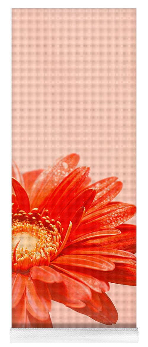 Flowers Yoga Mat featuring the photograph Blush by Ella Kaye Dickey