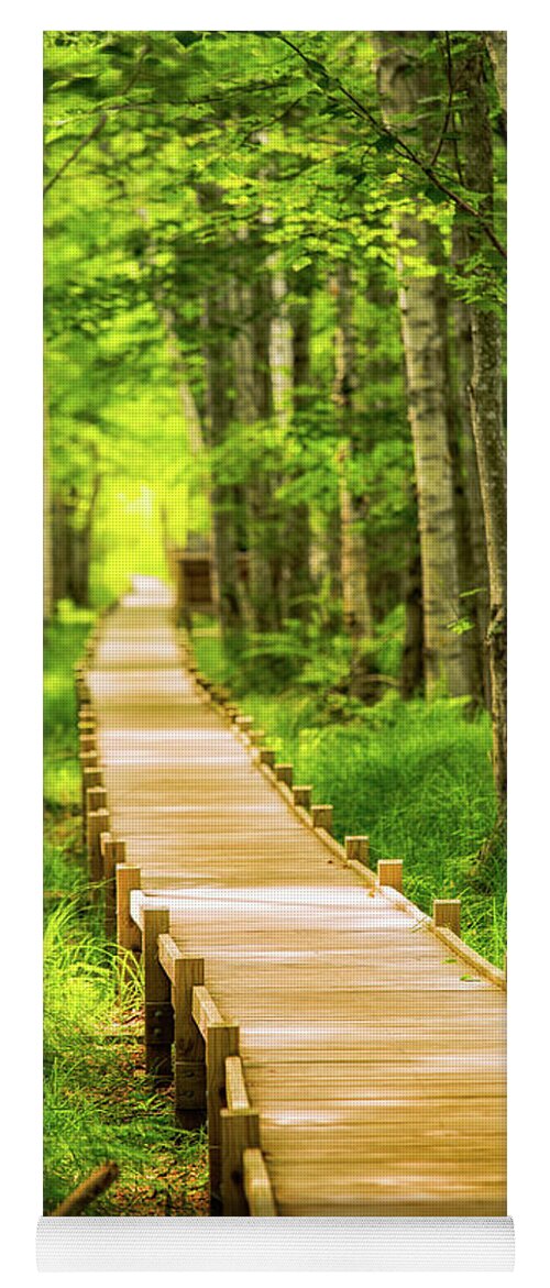 Acadia Yoga Mat featuring the photograph Boardwalk in the Forest by Jeff Sinon