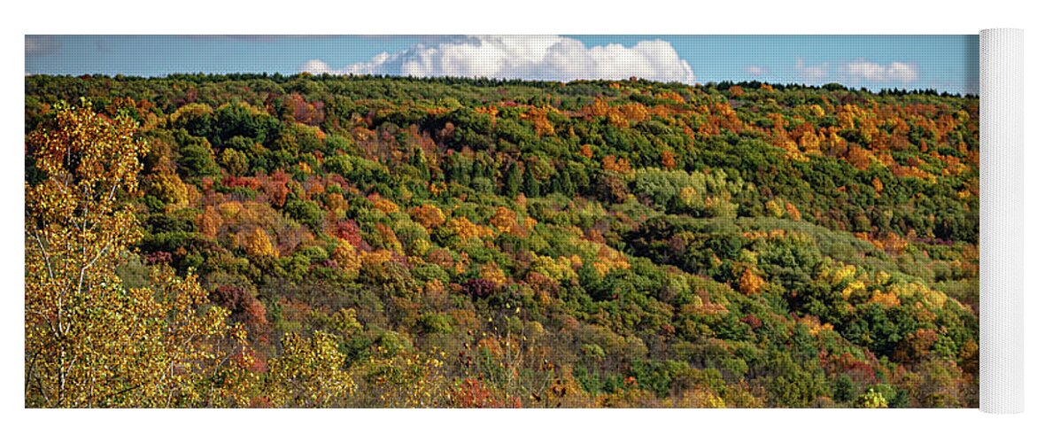 Nature Yoga Mat featuring the photograph Botsford Nature Preserve 44 by William Norton