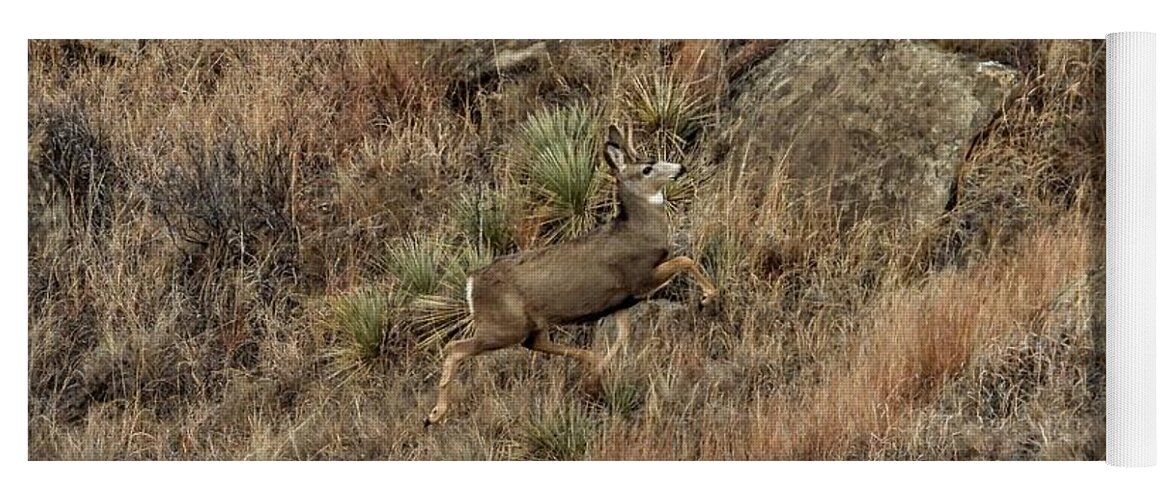 Mule Deer Yoga Mat featuring the photograph Bounding Up The Hill by Amanda R Wright