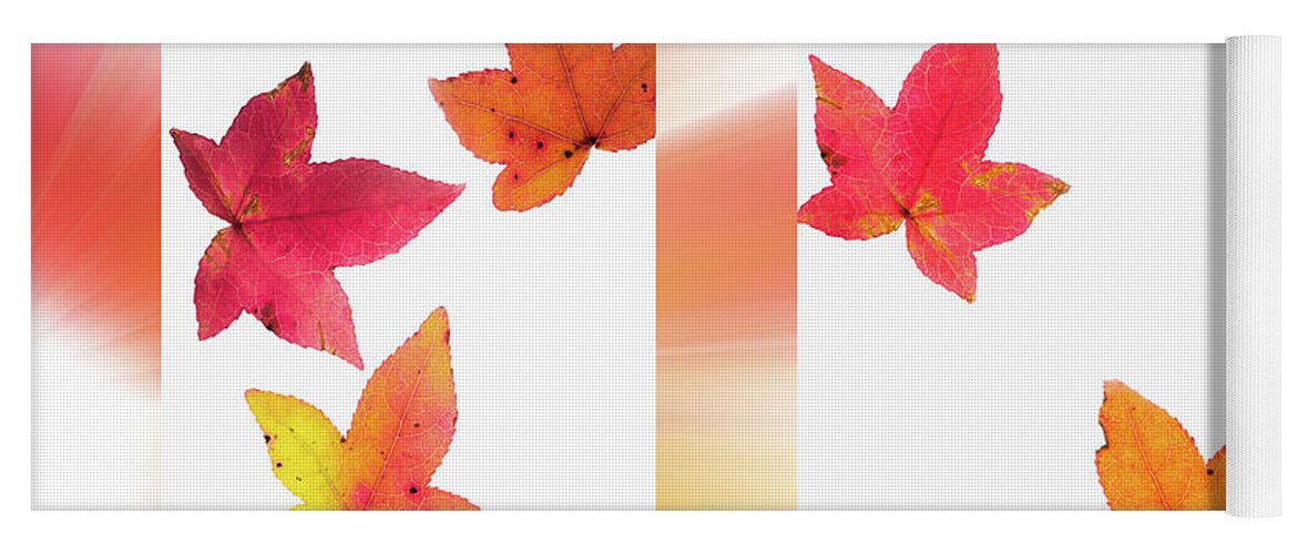 Maple Yoga Mat featuring the photograph Brilliant Fall Leaves by Phil And Karen Rispin