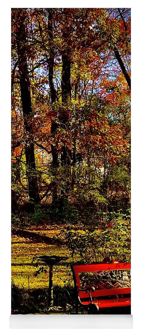 Parks Yoga Mat featuring the photograph Brilliant Sanctuary in Charlotte NC by J Hale Turner