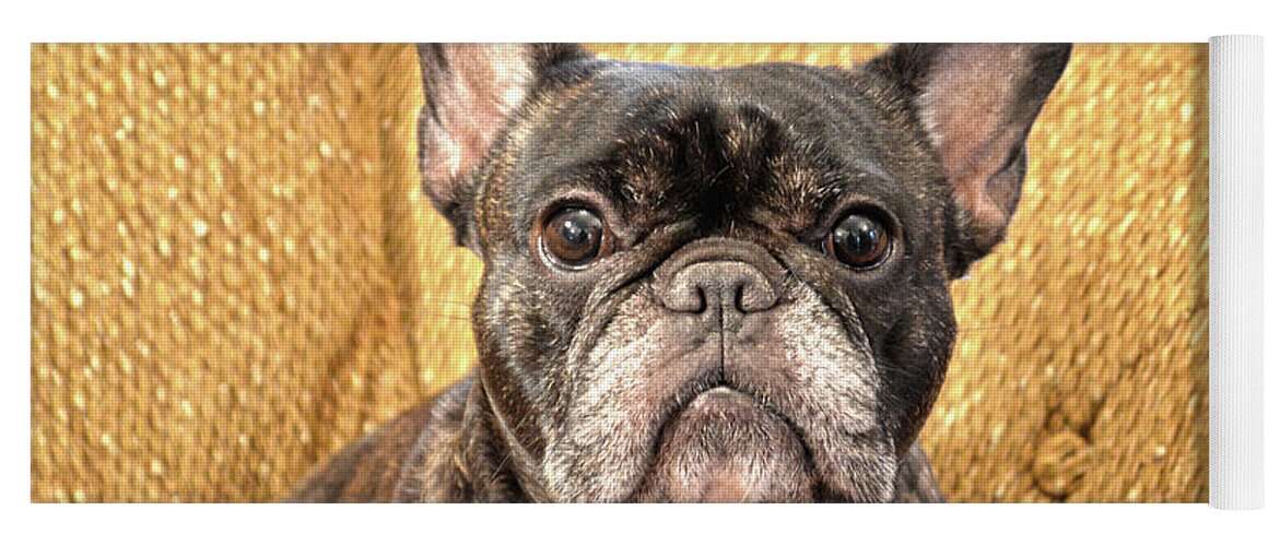 French Yoga Mat featuring the photograph Brindle French Bulldog by Catherine Sherman
