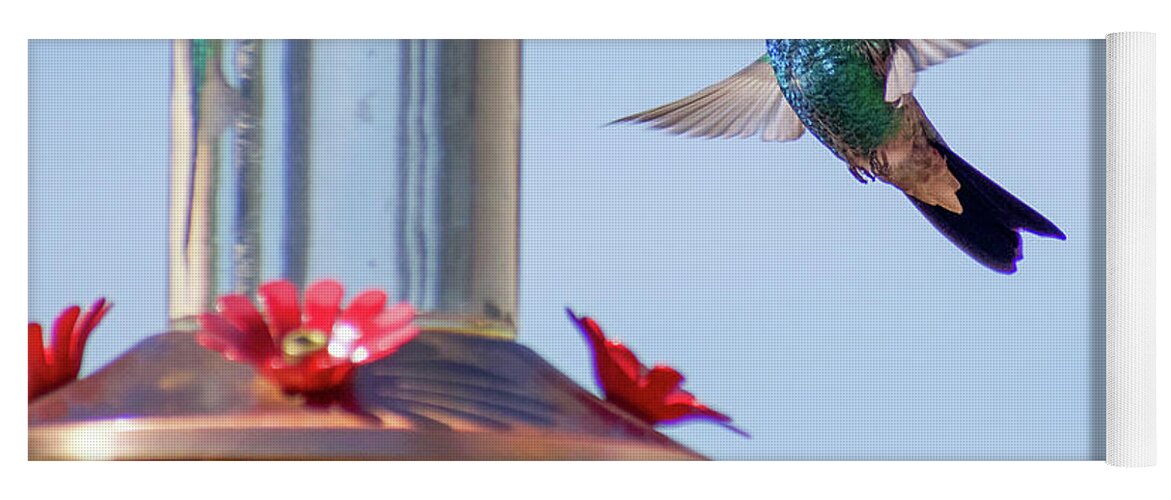 Broad-billed Hummingbird in mid-flight in brilliant colors Yoga Mat